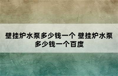 壁挂炉水泵多少钱一个 壁挂炉水泵多少钱一个百度